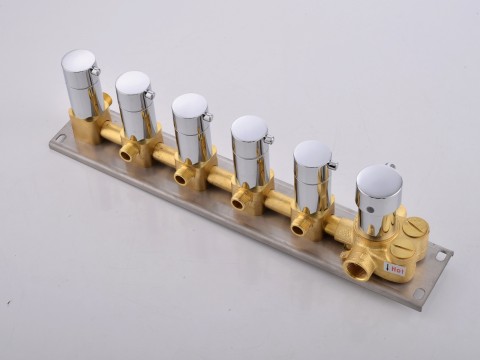 5 in 1 thermostatisch inbouw regendoucheset - Lion
