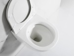 Hangend rimless toilet - Alaska