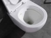 Hangend rimless toilet - Alaska